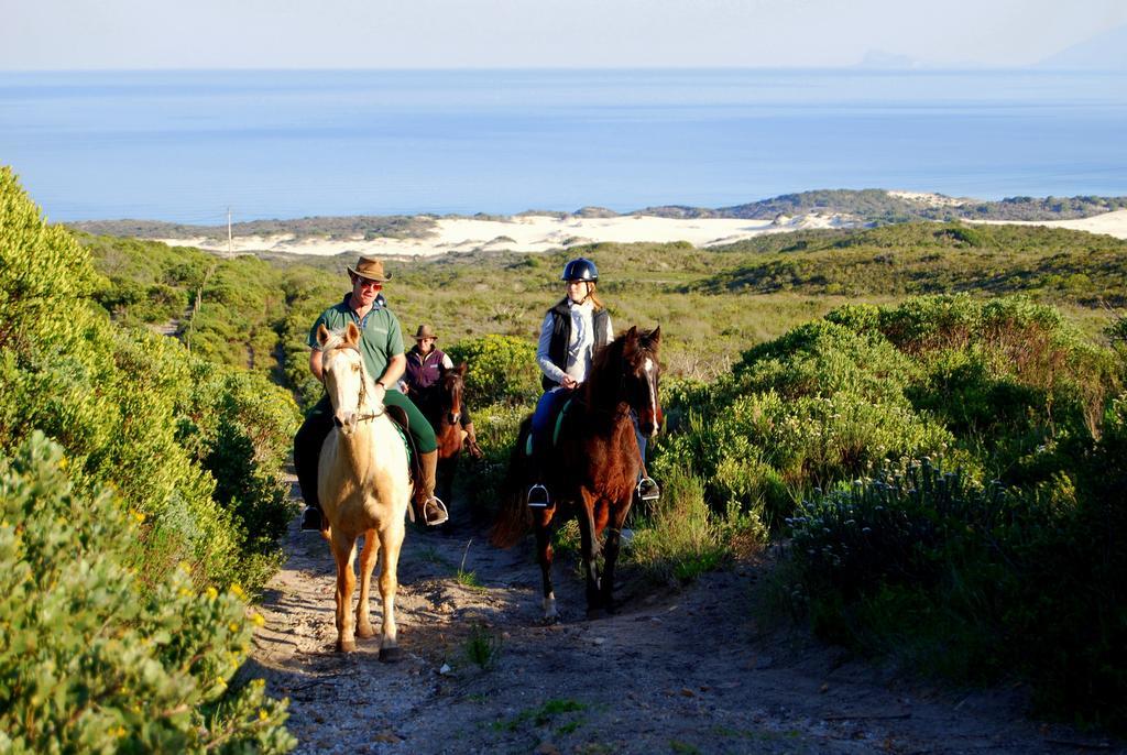 Grootbos Private Nature Reserve Hotel Gansbaai Exterior foto