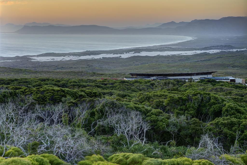 Grootbos Private Nature Reserve Hotel Gansbaai Exterior foto