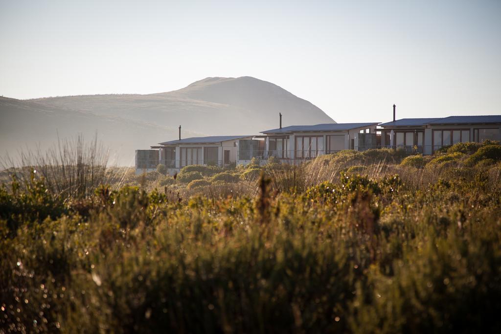 Grootbos Private Nature Reserve Hotel Gansbaai Exterior foto