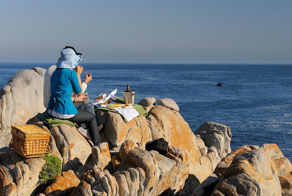 Grootbos Private Nature Reserve Hotel Gansbaai Exterior foto