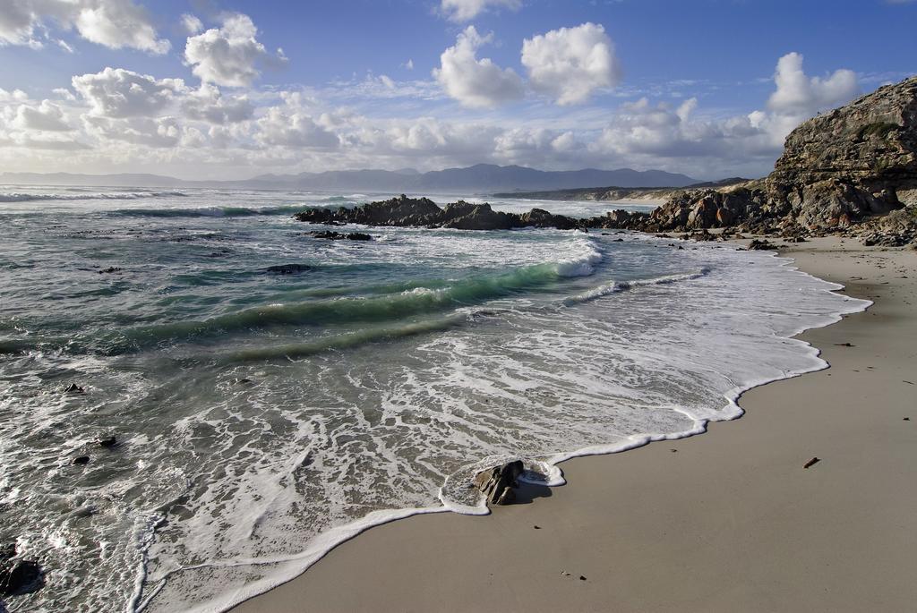 Grootbos Private Nature Reserve Hotel Gansbaai Exterior foto