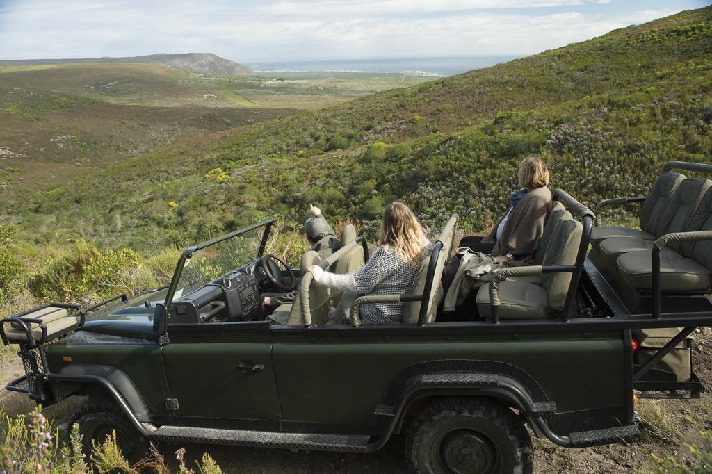 Grootbos Private Nature Reserve Hotel Gansbaai Exterior foto