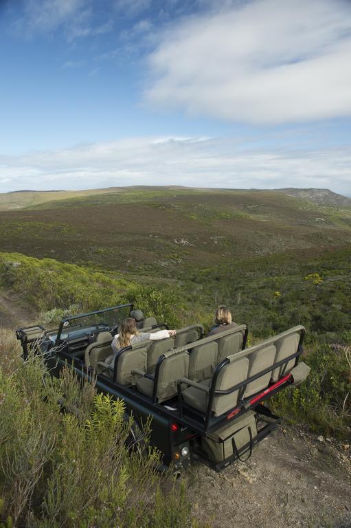 Grootbos Private Nature Reserve Hotel Gansbaai Exterior foto